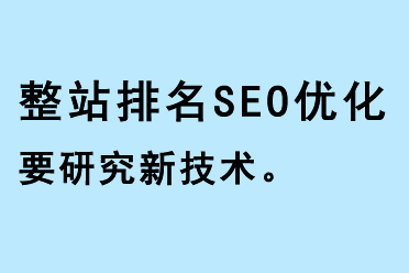 վSEO(yu)Ҫо¼g